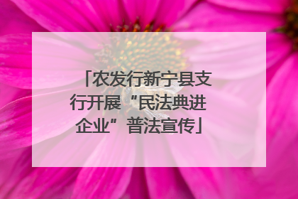 农发行新宁县支行开展“民法典进企业”普法宣传